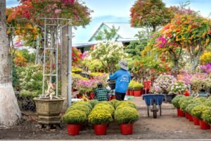 Exploring the lush green world of urban India’s home gardeners