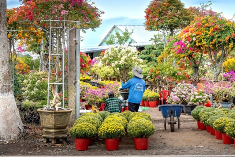 Exploring the lush green world of urban India’s home gardeners