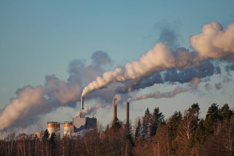 Integrating Economic and Climate Data Will Strengthen Climate Policy