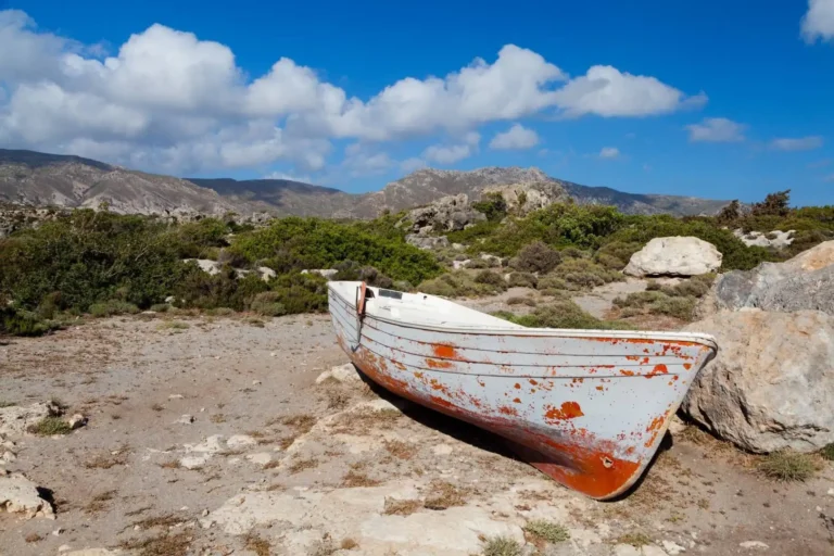 Greece tourist port flooded with hundreds of thousands of dead fish